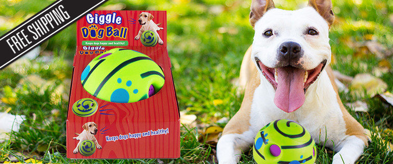 Giggle Dog Ball! Emits Sounds and Giggles When Rolled or Shaken! Only $16 with Delivery Included