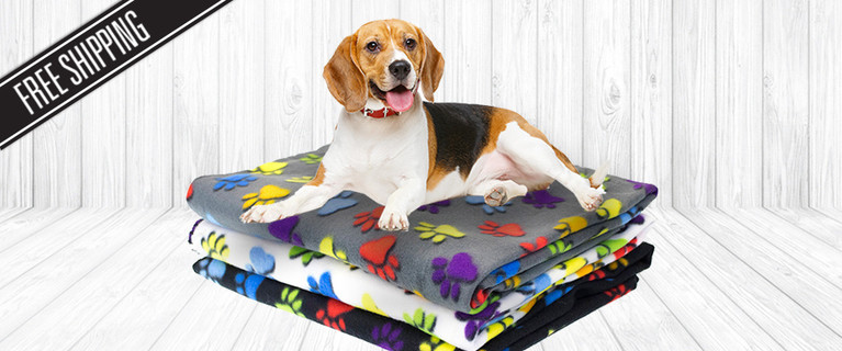 Cuddly Up with Your Pooch with This Super Cute and Machine Washable Pet Fleece Pet Blanket! From $12