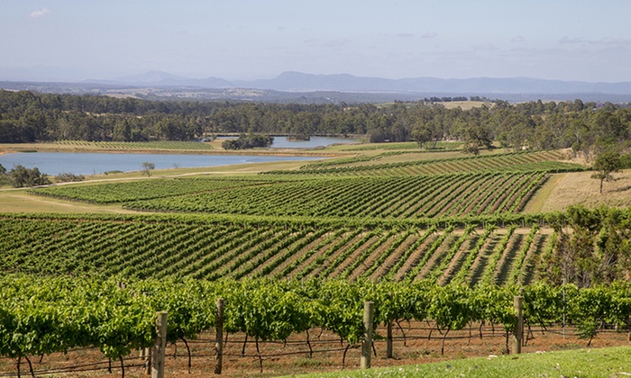 $75 for Hunter Valley Tour with Lunch with Autopia Tours (Up to $149 Value)