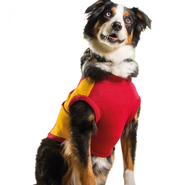 Extra 25% Off All Apparel | AFL Dog Jumper Gold Coast Suns $50.00 – $60.00