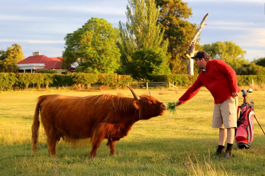 Ratho Farm | Intimate Tasmanian Colonial Farmhouse Stay Near Hobart 2 Nights from AUD$299 /room (Valued up to $560)