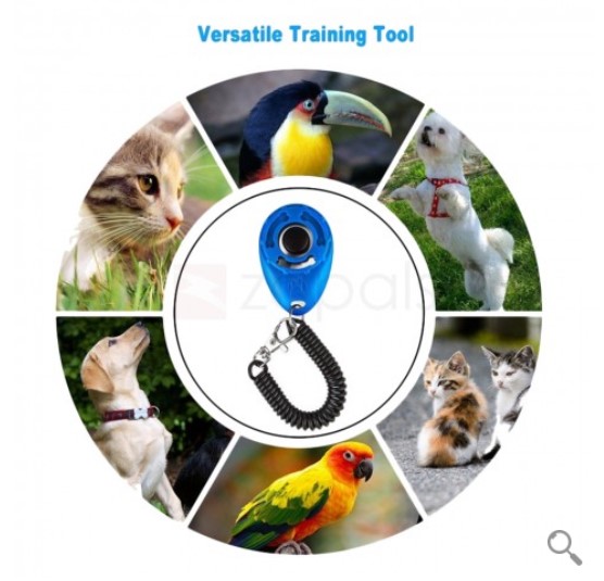 Dog Trainer Pet Training Clicker with Wrist Strap Random Color $3.99 (rrp $4.99)