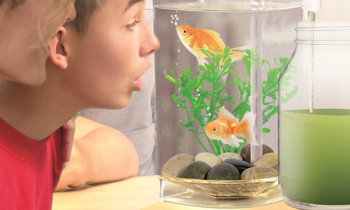 Fish Wonder Self-Cleaning Aquarium: One ($15) or Two ($25) (Don’t Pay up to $138)