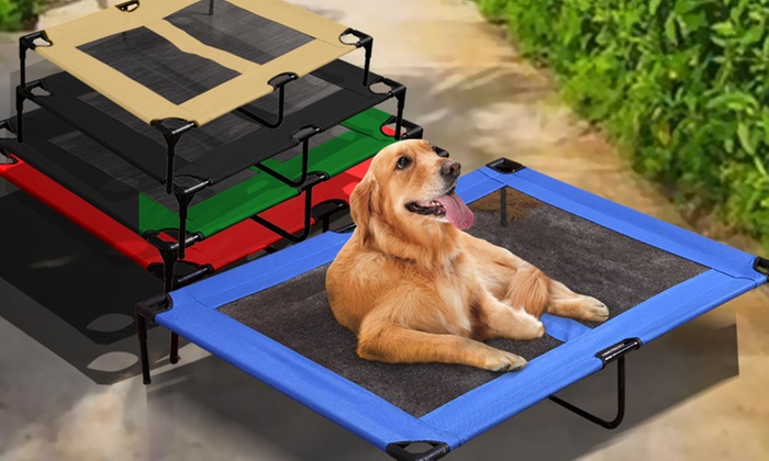 Raised Pet Bed Trampoline-Style Hammock: Small ($24), Medium ($28), Large ($34) or Extra-Large ($38)