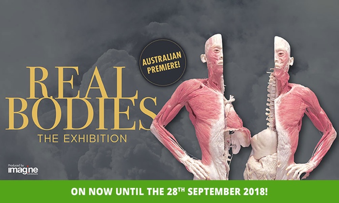 Real Bodies The Exhibition Sydney: Tickets from $10, NOW – 28th September (Up to 50% Off)