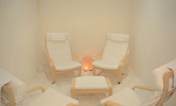 From $45 for Salt Therapy Session for Two People at The Salt Therapy Centre ( total value up to $280)