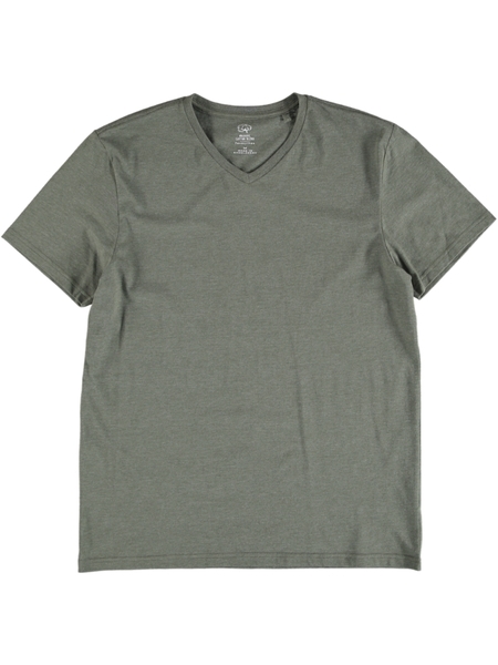 Mens Organic V-Neck Tee $5.00