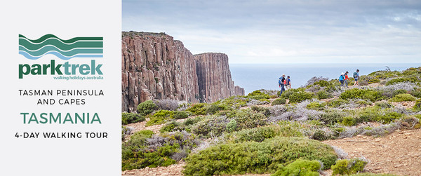 Tasmania Stunning Three Capes and Tasman Peninsula Guided Walking Tour 4 Days from AUD$1,399/person