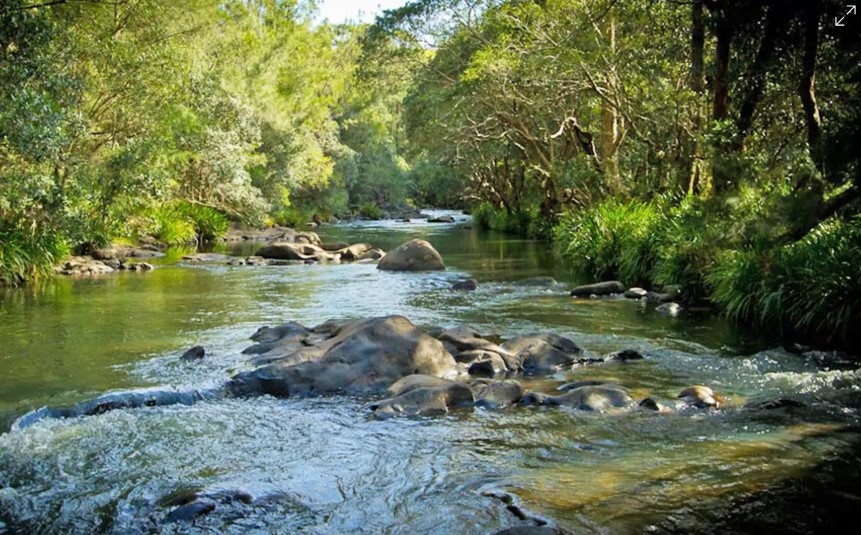 Peaceful Country Escape Near Sydney | Riverwood Downs Of Barrington Tops 2 Nights from AUD$199 /room (Valued up to $571)