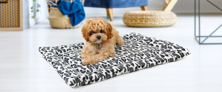 Treat Your Furry Friend to The Comfiest Nap Spot with The Velveteen Pet Bed! Only $14