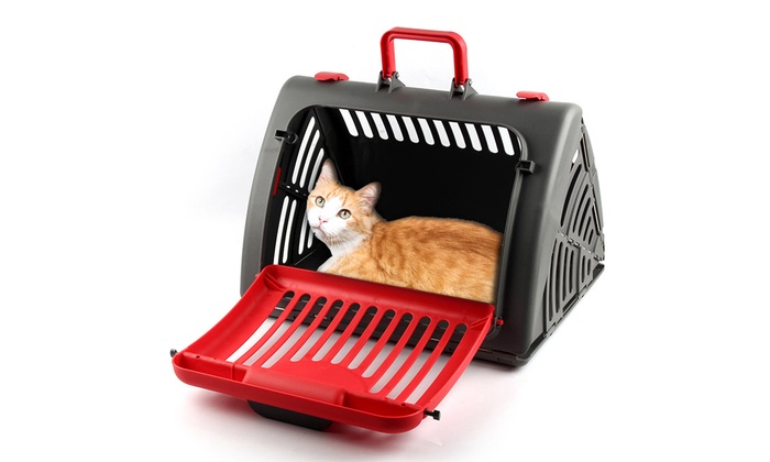 $19.95 for a Collapsible Pet Carrier Case