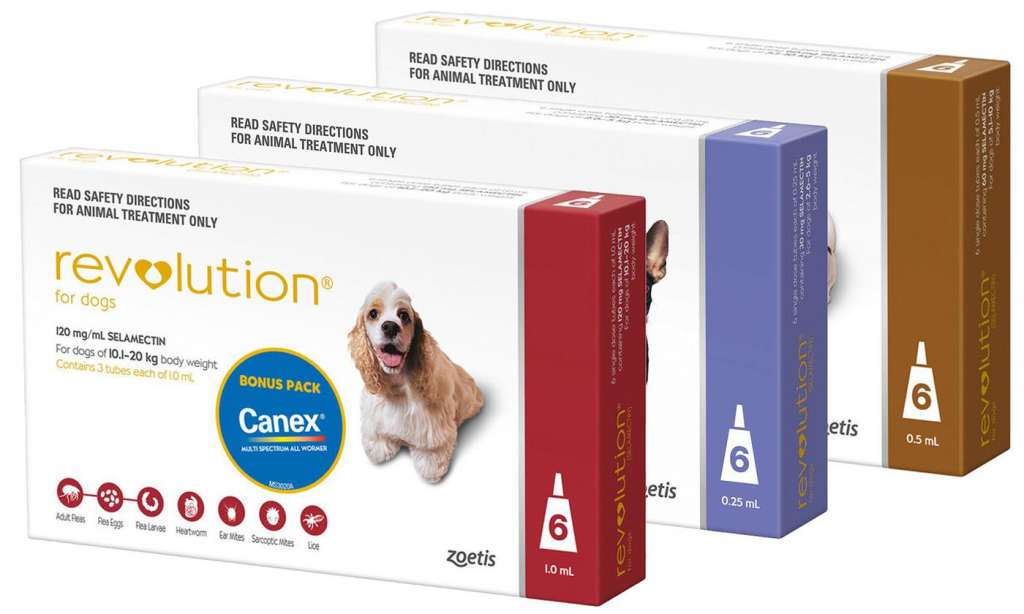 From $59.95 for a Six-Pack Supply of Revolution Parasites Protection for Cats and Dogs (Don’t Pay up to $151.99)