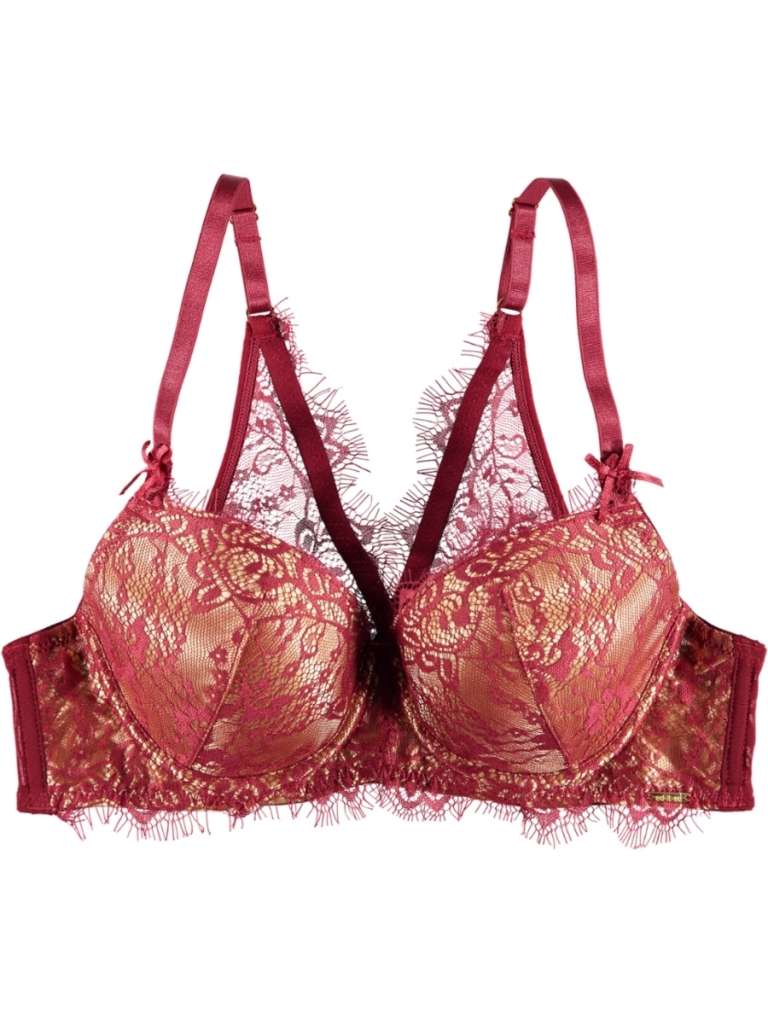 Sandra Lacey Bra $15.00
