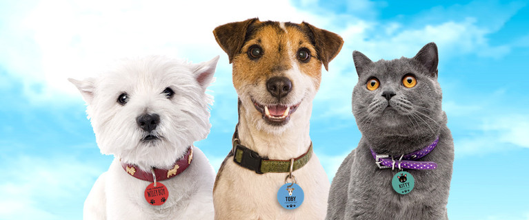 One Personalised Metal Pet Tag for Just $4 or Two for $7. Choose from a Range of Colours and Designs (Valued Up To $34.56)