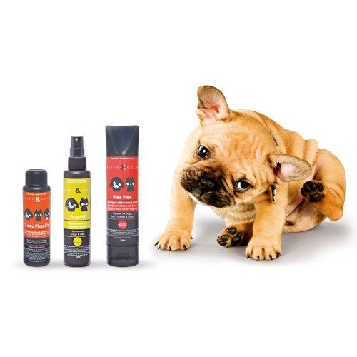 Up to 30% off ALL Flea, Tick & Worming Treatments! Rufus & Coco 200ml Flea Flee Now $10.07 (Was $15.49)