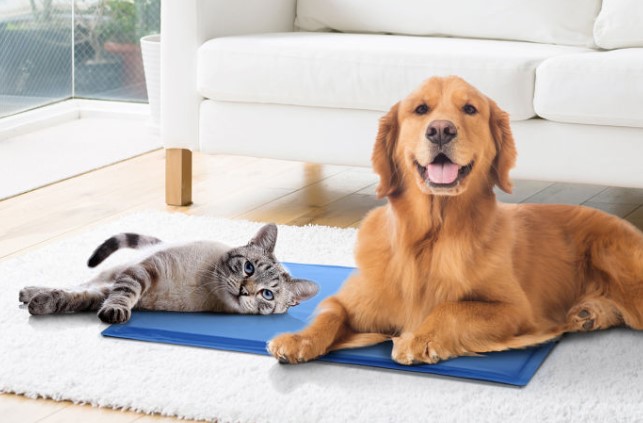 Sprint Industries 40x50cm Medium Deluxe Pet Cooling Mat – Blue $12.99 (Don’t pay $22.95)