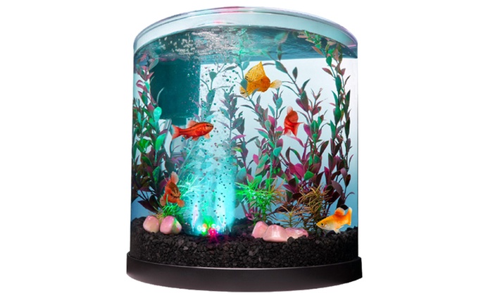 $49 for a Half Moon-Shaped Aquarium Fish Tank with Bubbling LED Kit