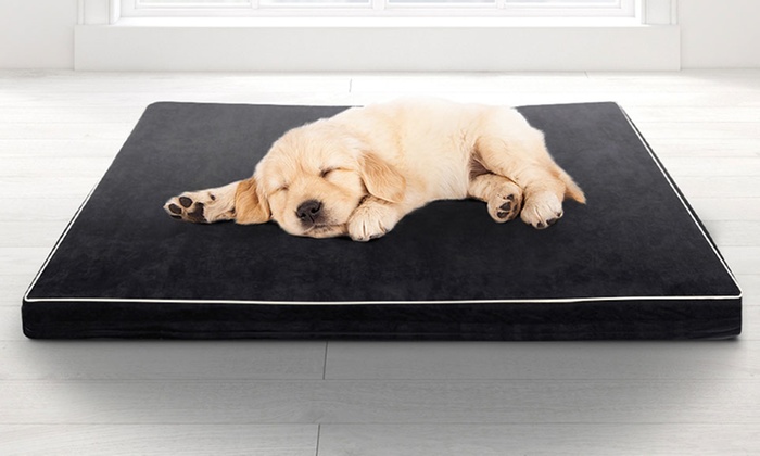 From $19.95 for a Memory Foam Mattress Pet Bed