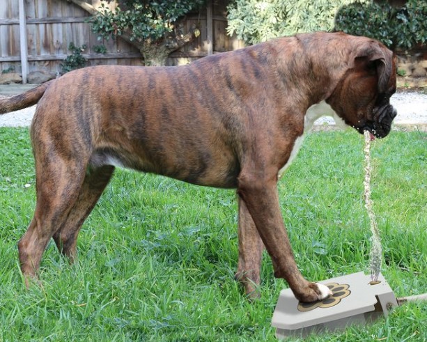 Paws & Claws Outdoor Drinking Fountain $34.99