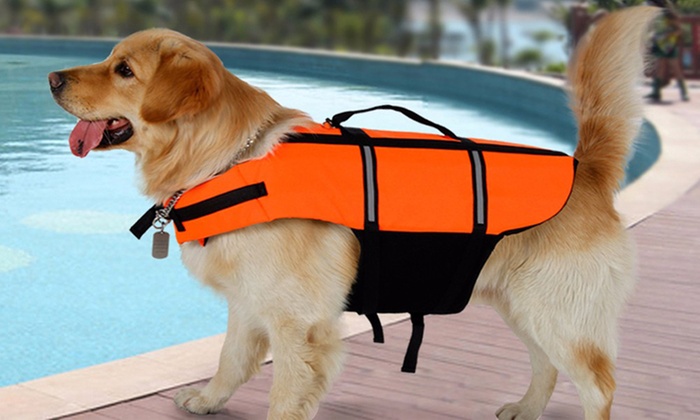 From $14 for a Dog Life Jacket in Choice of Four Sizes