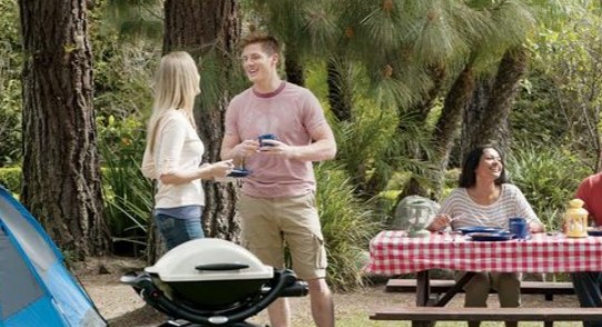 Weber Baby Q (Q1000) LP BBQ NOW $263.20 (Was$329.00)