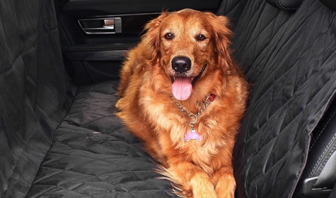 $29 for a Heavy-Duty Waterproof Pet Car Back Seat Cover with a Safety Belt (Don’t Pay $109.45)