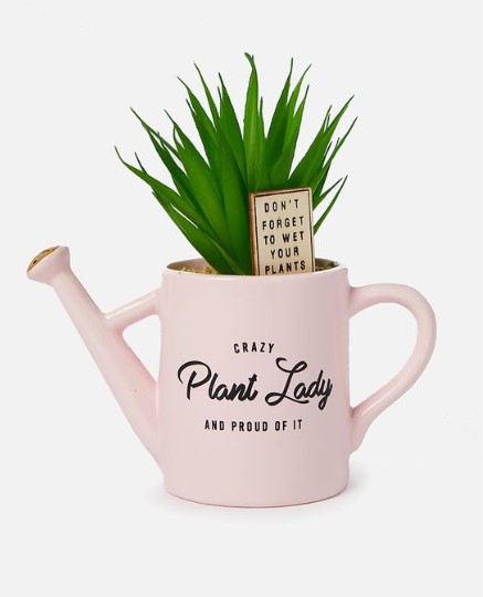 Typo Shaped Planter $29.99