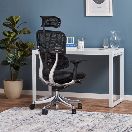 Ergohuman V2 Plus Deluxe Mesh Office Chair $569.00 (RRP$799.00)