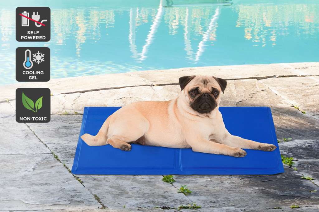 Pawever Pets Cooling Mat (Small) $19