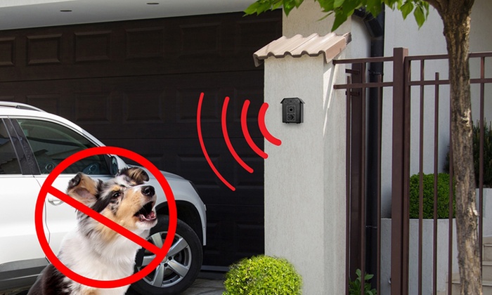 $29.95 for an Ultrasonic Bark Control Device (Don’t Pay $89)