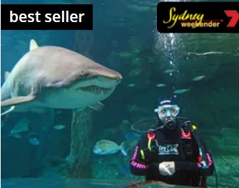 Shark Diving – Sydney Aquarium Darling Harbour $299