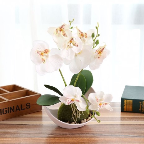 Trendy Home Decors White Artificial Butterfly Orchid $14.95