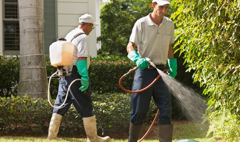 $149 for Pest Control Service or Termite Inspection at Master Kill Specialist Pest Control (Up to $287 Value)