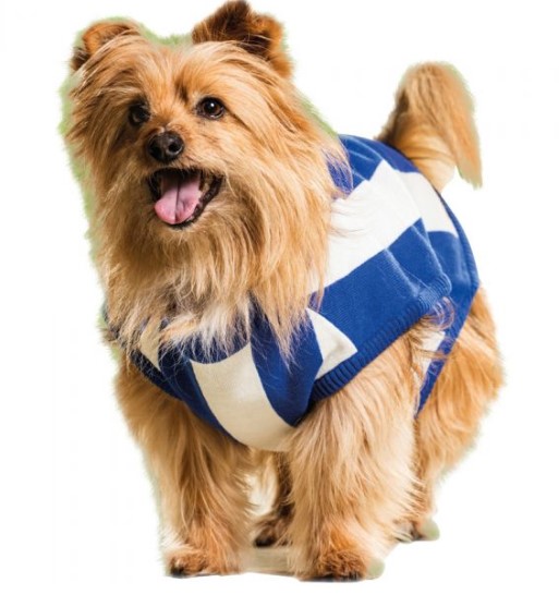 AFL Dog Jumper North Melbourne Kangaroos $50.00 – $60.00