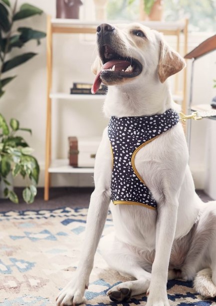 Typo Pet Harness Large $24.99