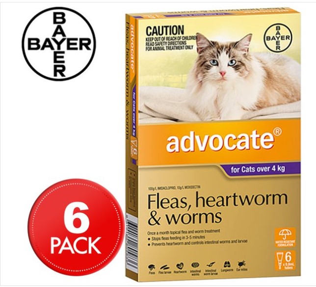 Advocate Flea & Worm Treatment For Cats 4kg+ 6pk $67.99