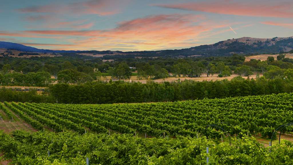 Five-Star Halliday Winery Escape 2 or 3 nights from $229 /Room