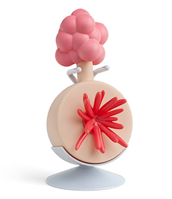 Rick and Morty Plumbus Replica $24.99