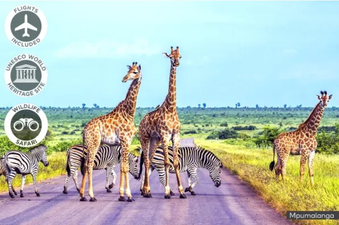 AFRICA: 10 Day South African Safari with Victoria Falls Including Flights For Two $7,998 (Valued at $12,999)