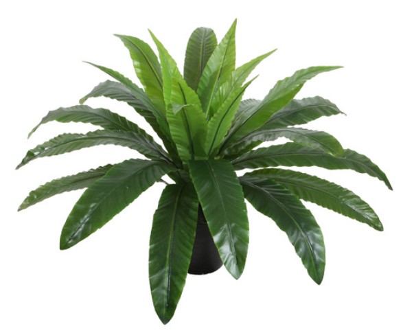 55cm Potted Faux Bird’s Nest Fern $49.95 (RRP:$64.95)