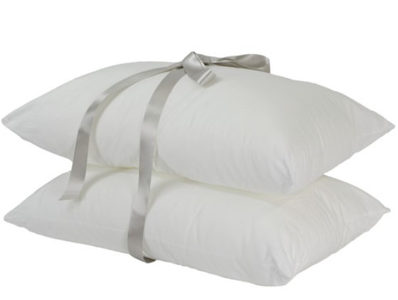 Everyday Regular Pillow (Set of 2) $26.95