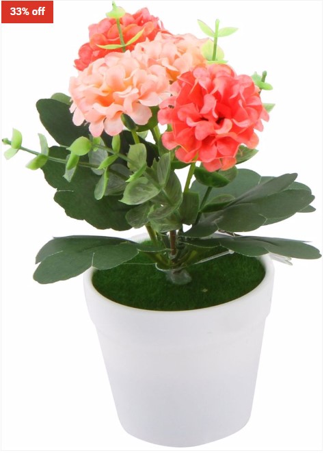 33% OFF LEAF & HOME Small Hydrangea In Pot 3 Asst Clrs 8X16Cm In Display $5 (RRP$7.48)