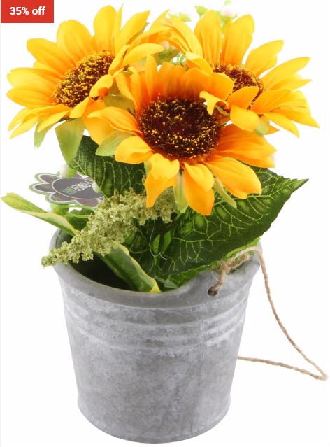 35% OFF LEAF & HOME Sunflower In Pot 10.5X20.5Cm $9 (RRP$13.90)