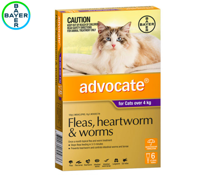 Advocate Flea & Worm Treatment For Cats 4kg+ 6pk $74.99 (Don’t pay $124.20, SAVE $49)