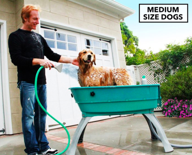 Booster Medium Elevated Pet Bathing Station $169