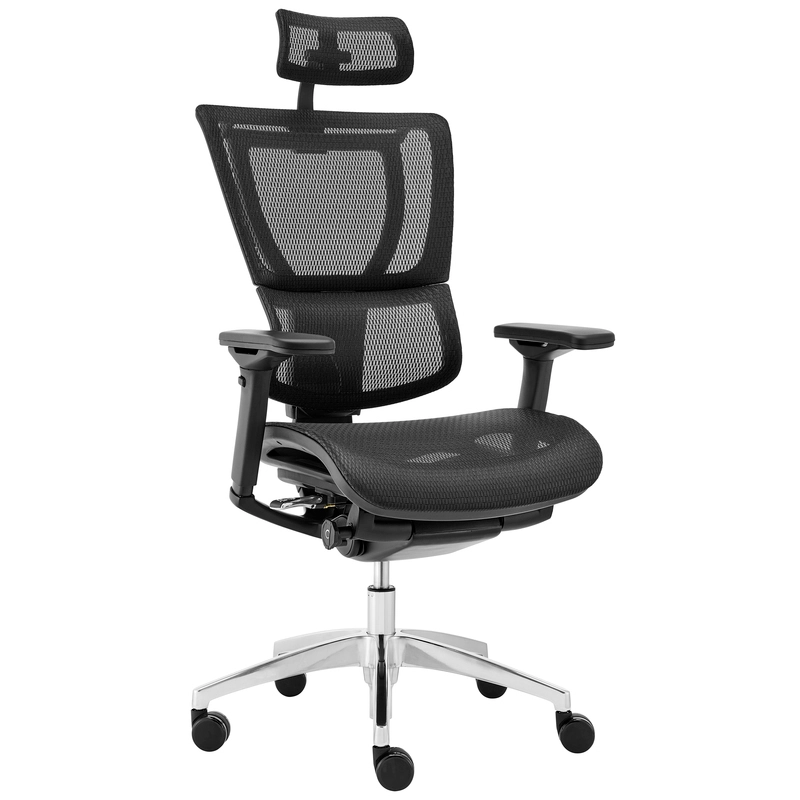 Ergohuman Premium Fit IOO Executive High Back Office Chair Aluminium Base (Black Mesh) for $499!